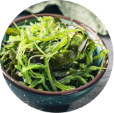 Sea kelp